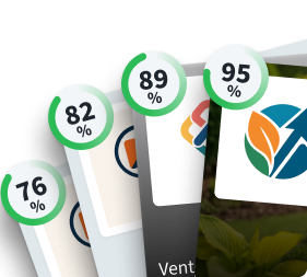 Quiz cards illustration