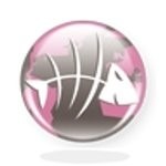 Trouver facilement votre restaurant avec l&rsquo;application pour I Phone