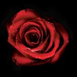 La franchise Happy, génératrice de bonne humeur