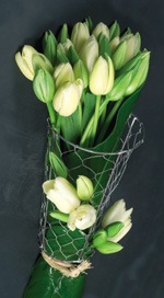 La volonté de se développer