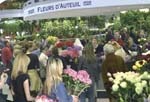 Fleurs d&rsquo;Auteuil recrute ses partenaires et ça marche !