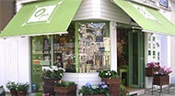 La franchise de commerce de fleurs met ses magasins aux couleurs des beaux jours !