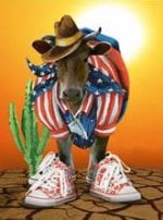 La franchise Pom d&rsquo;Api se développe et s&rsquo;exporte