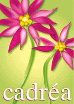 Un printemps créatif et coloré