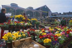 Vous voulez vendre sur les marchés