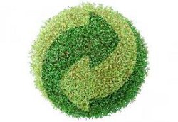 Les réseaux de franchises bio confortent leur position face à la grande distribution