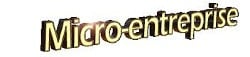 Créer une franchise sous le régime de la micro entreprise