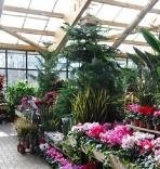 Les franchises de jardinerie se modernisent