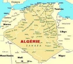 Panorama de la franchise en Algérie