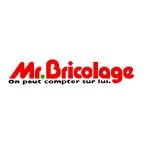 Mr Bricolage : un développement à la hauteur de ses ambitions