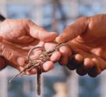 La franchise Cimm Immobilier a 30 ans