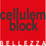 Interview du franchisé CELLULEM BLOCK de Lyon