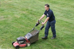 La franchise d&rsquo;aide à domicile MAISON et SERVICES
