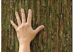 La franchise NATILIA en images