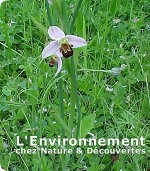 La franchise Nature & Découvertes traversent les Alpes et investit le marché Suisse