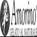 La franchise de glaces à l&rsquo;italienne clé en main à un nom : Amorino