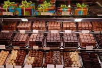  Devenir chocolatier en franchise (2ème partie)