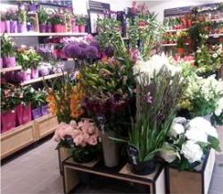 Des franchises qui fleurissent un peu partout en France