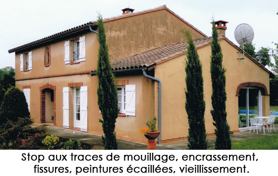 Kévin Badia relève son challenge de succession de la franchise Espace Façades