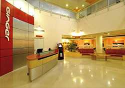 Le développement de certains réseaux de franchise en Inde et en Afrique