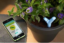 Le réseau s’associe à la marque Parrot pour la commercialisation du Parrot Flower Power