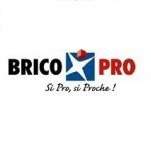 Brico Pro/IPSOS : Les français communiquent leur passion pour le bricolage et la décoration!