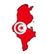 La Tunisie s&rsquo;avère bienveillante dans l&rsquo;application de la loi sur la franchise et a régularisé plusieurs franchises étrangères