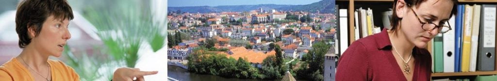 Tout le monde peut faire facilement sa propre étude de marché avec ODIL de l'Insee