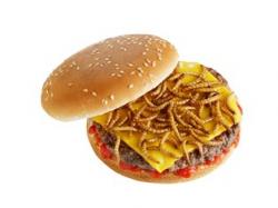 Speed Burger veut vous faire manger des insectes