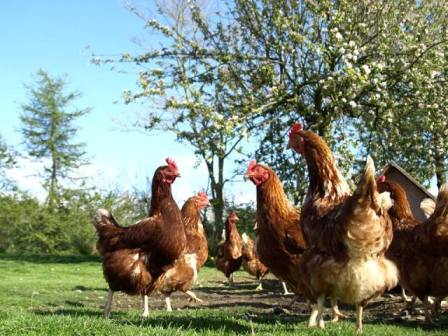 Trouver un endroit pour s'installer avec le réseau Notre Basse Cour