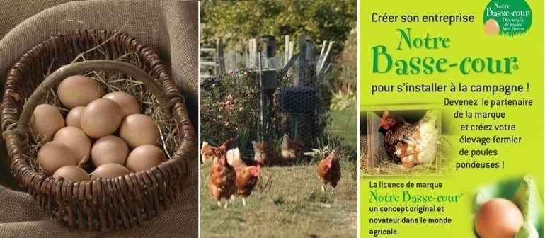 Nouvelle année, changez de vie avec la franchise Notre Basse-Cour