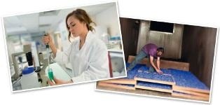 Les forces du réseau Yves Rocher