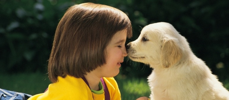 Interview sur les ambitions et les moyens de Tom & Co en France