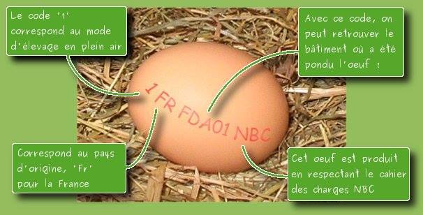 La franchise agricole Notre Basse Cour : interview de Christian Cedra