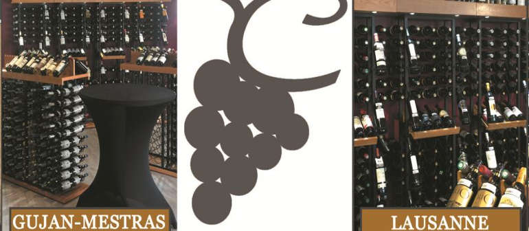 2016 : l’année de tous les succès pour Cavavin