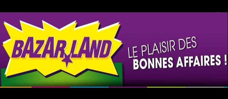 Franchise Bazarland : une carte de fidélité particulièrement avantageuse