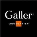 Focus sur la franchise Galler !