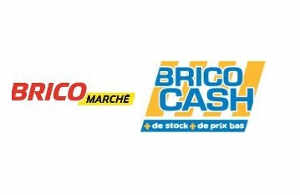 Les franchises Bricomarché et Brico Cash comptent racheter Bricorama