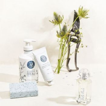 Produits Graine de Pastel