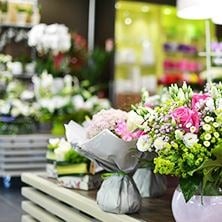 Carrément Fleurs à l