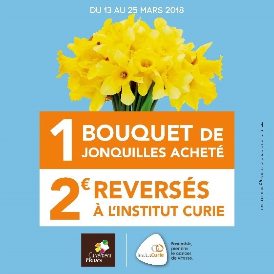 La franchise Carrément Fleurs annonce sa participation à l’opération «  Une jonquille pour Curie »
