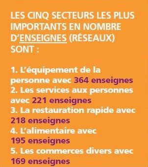 Les cinq secteurs les plus importants en nombre d’enseignes