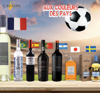 La franchise Cavavin sur les réseaux sociaux