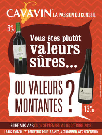 La franchise Cavavin axe sa nouvelle communication sur « la passion du conseil »