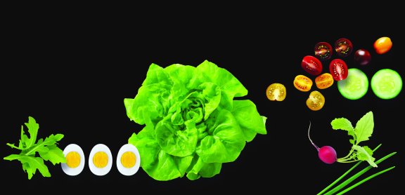 L&rsquo;enseigne Ankka ouvre un nouveau restaurant avec un décor entièrement revisité