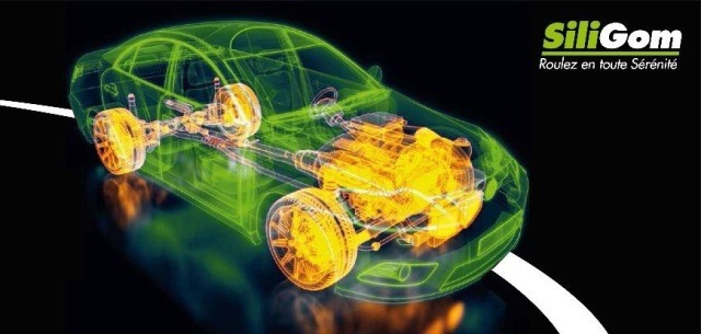 Le réseau Siligom à mi parcours pour atteindre ses objectifs fixés pour 2018