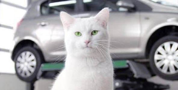 La franchise Feu Vert recommandée par 90% des clients !