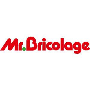 Franchise Mr. Bricolage logo