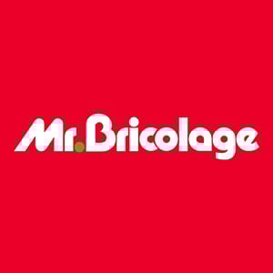 logo franchise mr bricolage