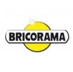 La franchise Bricorama & Trusk : désormais alliés pour pouvoir livrer !